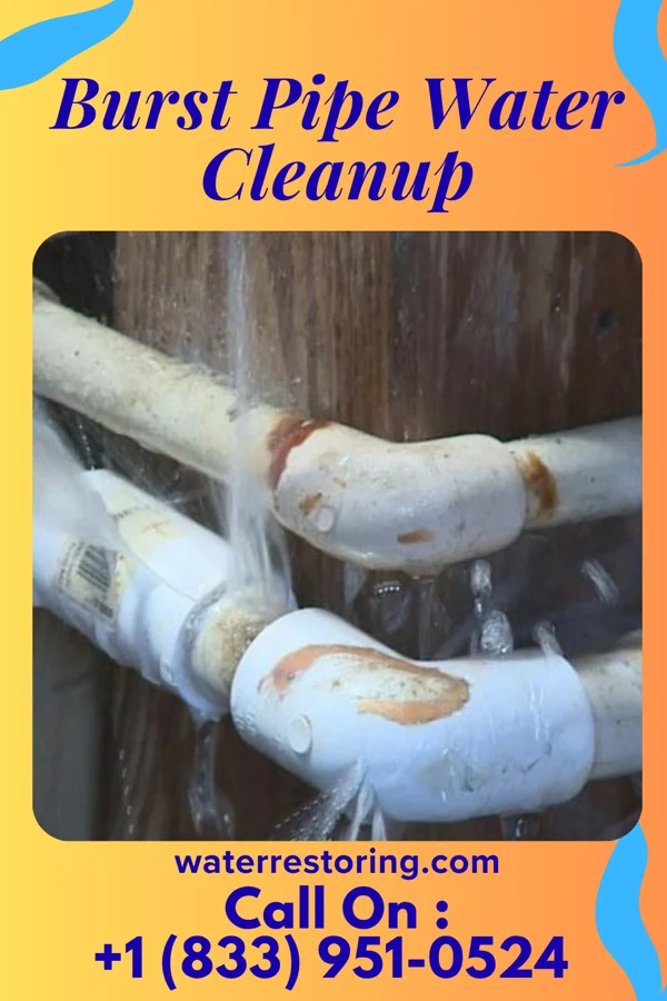 Burst Pipe Water Cleanup in Spring Hill, PA