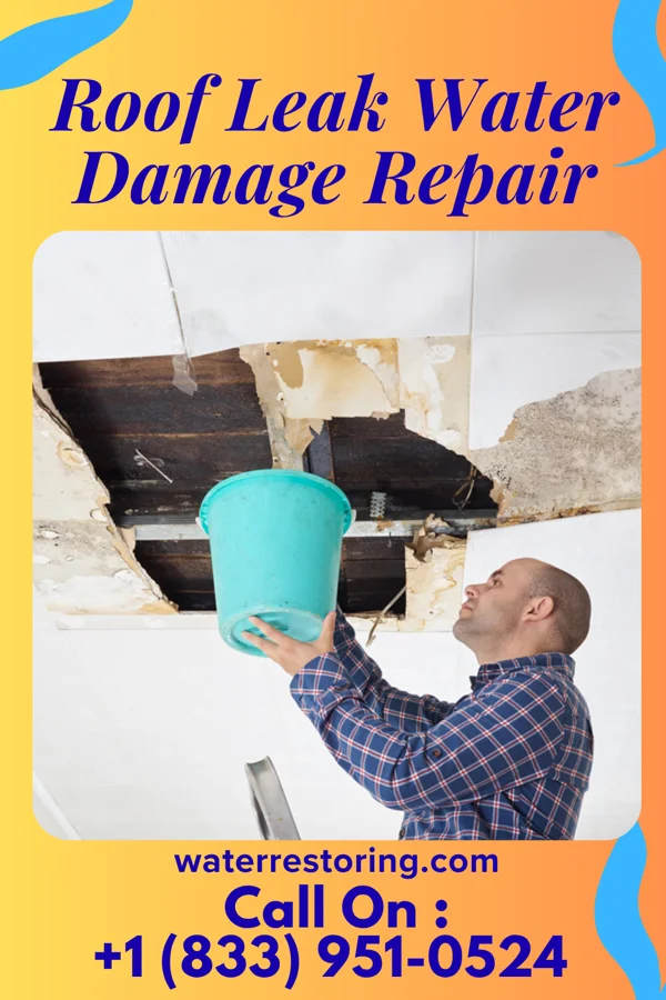 Roof Leak Water Damage Repair in Spring Hill, PA