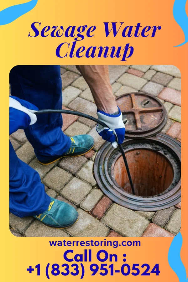Sewage Water Cleanup in Spring Hill, PA